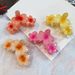 Flower Shape Hair Claw Strong Grip Anti-slip Hair Clip Shower Back Head Hair Clip Vacation Hair Accessories_voghion.com