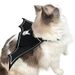 Nuove ali di pipistrello per animali domestici, graziosi accessori per costumi di Halloween per gatti, vestiti divertenti trasformabili_voghion.com