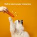 New Self Hi Cat Durable Bite and Noise Relieving Tool Pet Toy_voghion.com