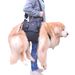 Elderly Outdoor Convenient Leg Support Rehabilitation Dog Harness_voghion.com