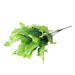 7-pronged small bunch of Persian leaves Persian grass Engineering decoration simulation plants artificial flowers green plants fern leaves plant wall_voghion.com