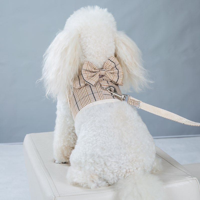New Pet Harness Breathable Plaid Small Vest Set Teddy Dog Walking Leash_voghion.com