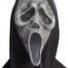 Halloween Screaming Ghost Gezichtsmasker - Latex Eng Kostuum Hoofddeksel Voor Volwassenenfeest Horrorfilm Cosplay Props_voghion.com
