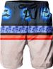 Unbeatable Quality Hawaiian Beach Men's Shorts, Sports Pants, Quick Drying 3D Digital Print Pattern_voghion.com