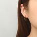 Europe and the United States cross-border special round ear buckle stainless steel two-color twist pattern simple temperament unisex earrings_voghion.com