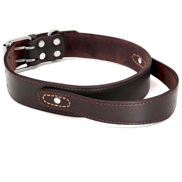 Beirui Leather Collar For Medium And Large Breed Dogs_voghion.com