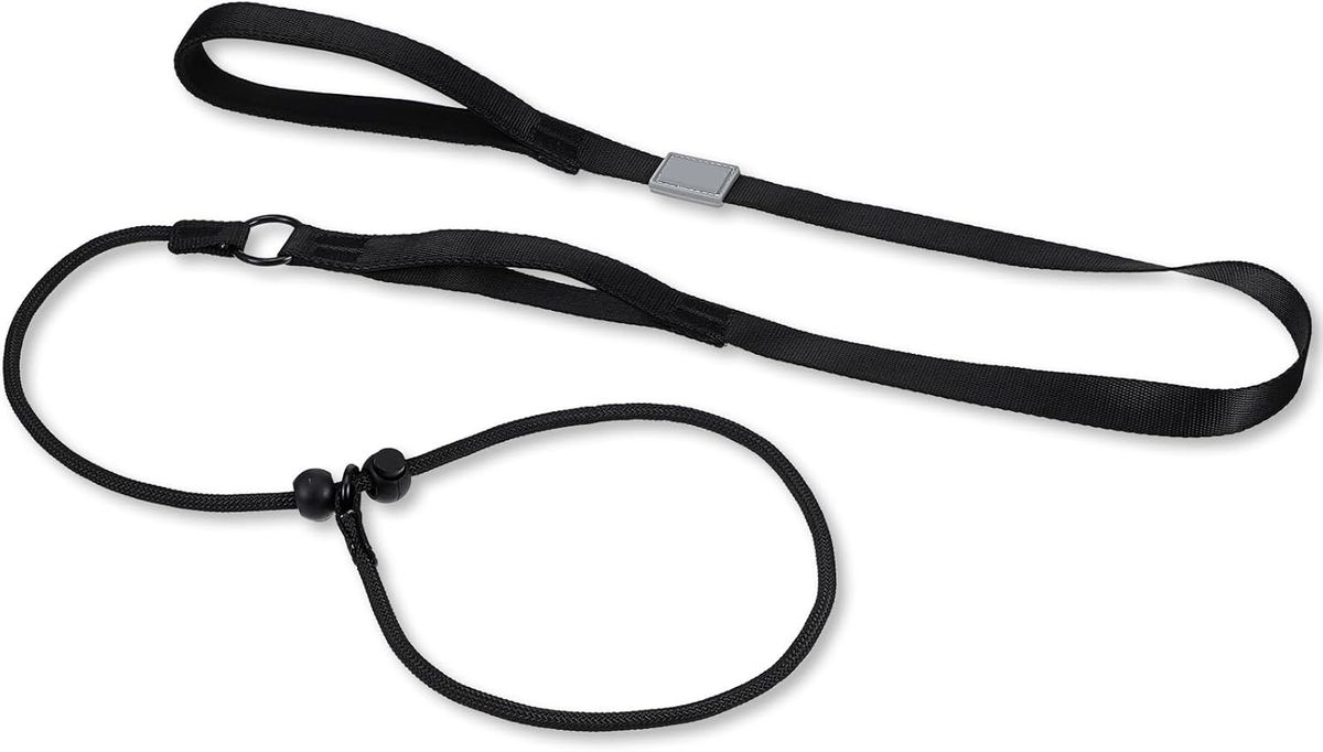 Hundeleine, 1,9 X 180cm Retrieverleine Mit Integrierter Halsung Integriertem Zugstopp Hausleine Für Hunde Aller Größen Robust Und Wetterfest Trainin_voghion.com