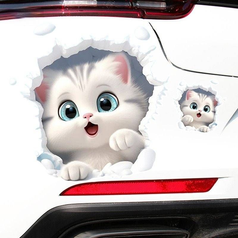 Adesivi per auto, gatti, impermeabili e resistenti, coprono i graffi_voghion.com