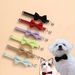 New Bow Collar, Adjustable Bell Collar For Small Cats And Dogs_voghion.com