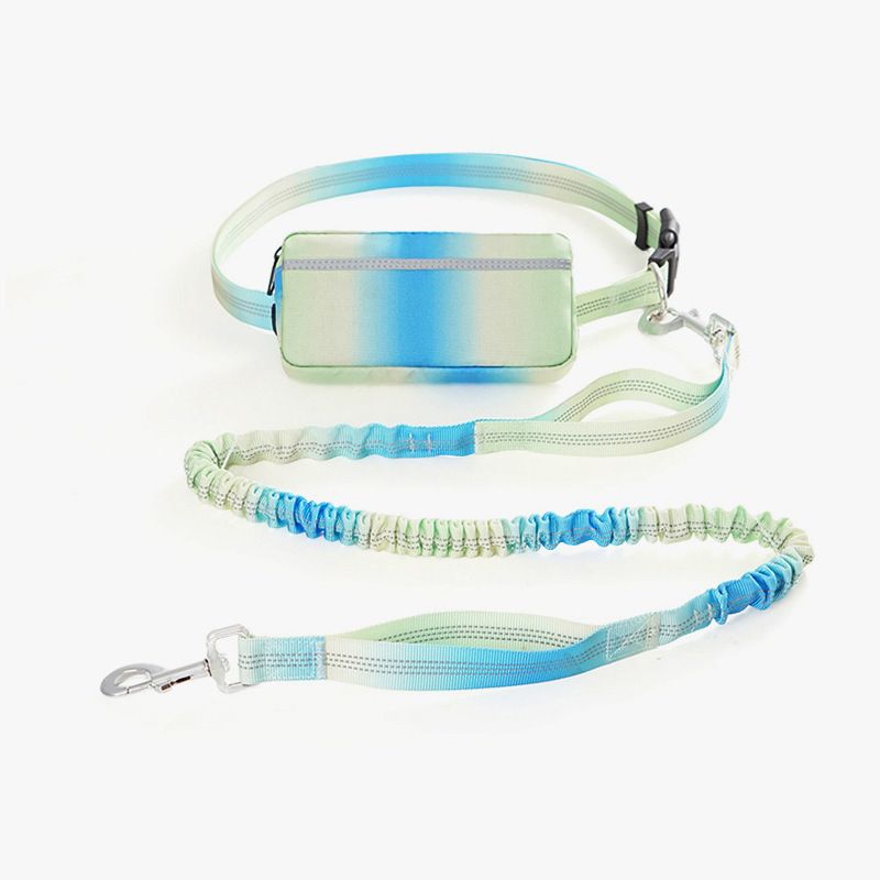 2024 New Gradient Color Pet Sports Running Waist Bag Small And Medium-sized Dogs Reflective Dog Retractable Leash_voghion.com