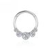 F136 Titan Nasenring Zirkon Helix Piercing Nez Septum Clicker Hoop Scharniersegment Knorpel 16G Tragus Lippe Körperschmuck_voghion.com