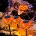 Halloween Pumpkin Solar Waterproof Lawn Ground Plug Light Courtyard Garden Terrace Atmosphere Decoration Landscape_voghion.com