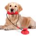 New Pet Dog Toy Durable Chew Bone Stick With Suction Cup For Medium And Large Dogs_voghion.com