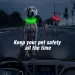 Glowing USB Dog Collar By PawParty Store_voghion.com
