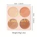 USHAS Concealer Black Eye Circle Lasting Nicht klebender Puder-Concealer 4-Farben-Grundierungs-Make-up_voghion.com