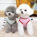 Spring New Teddy Bichon Pet Clothes Cat Small Dog Summer Thin Fruit Vest_voghion.com