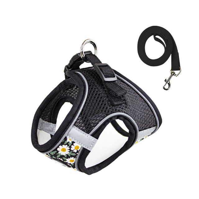 CDDMPET Floral Print Leash And Harness For Small Dogs By PawParty Store_voghion.com