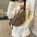 Fashion Leopard Print Waist Bag Street Trend Fanny Pack Woman Chest Canvas Belt Female Shoulder Crossbody Bags 250614l_voghion.com