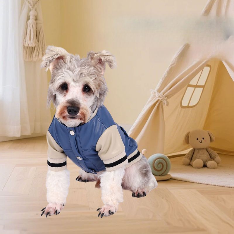 Korean Style Pet Autumn Winter New Casual Fashion Two-Leg Baseball Outfit Soft Thickened Cold-Proof Dog Clothes_voghion.com