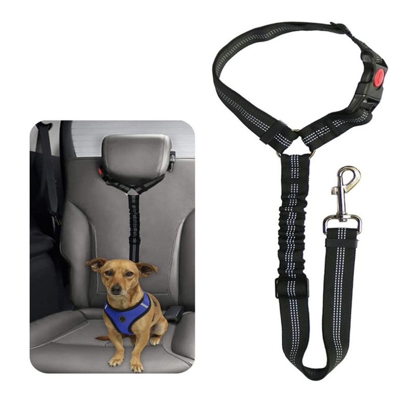 Produits pour animaux de compagnie Harnais de voiture Laisse pour chien à anneau Laisse rétractable extensible réfléchissante phosphorescente Laisse pour chat_voghion.com