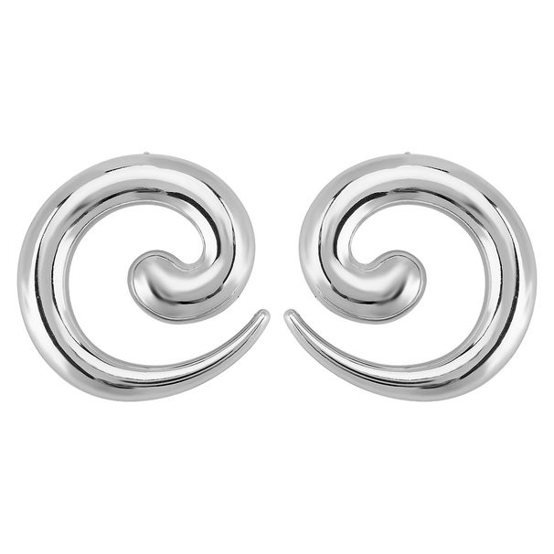 E13242 Fashionable and Exaggerated Design with a Metallic Style ZA Same Style, Small denomination Earrings for Women_voghion.com