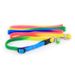 Collare luminoso colorato con catena rotonda color arcobaleno per gatti e cani._voghion.com