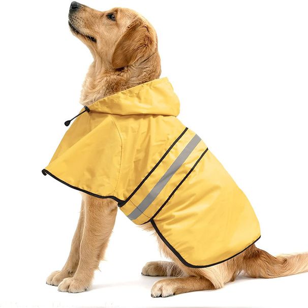New Dog With Reflective Strips For Small And Large Dogs, Corgi Golden Retriever Raincoat_voghion.com