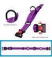 Pet Supplies Nylon Adjustable Reflective Collar Set Dog Leash_voghion.com