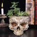 Totenkopf Übertopf - Gothic Halloween Blumentopf Sukkulenten Behälter mit Abflussloch Keramik Geschenk Dekor_voghion.com