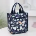 bulky Nylon Printed Fabric Handbag Portable Lunch Box Bag For Work And Daily Storage Mothers 250318l_voghion.com