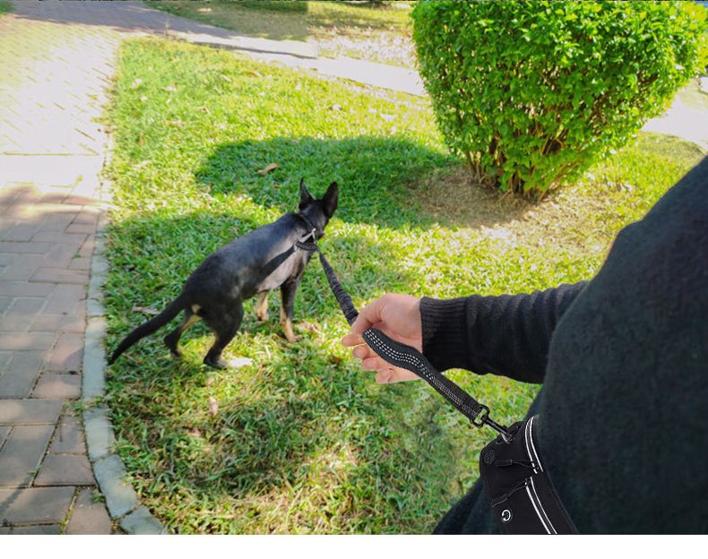 Explosion-proof Running Dog Walking Rope Nylon Reflective Multifunctional Retractable Sports Waist Bag Pet Leash_voghion.com
