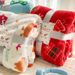 1pc Christmas Thickened Flannel Red Coral Plush Air-conditioned Blanket Gift Modern And Simple Polyester_voghion.com
