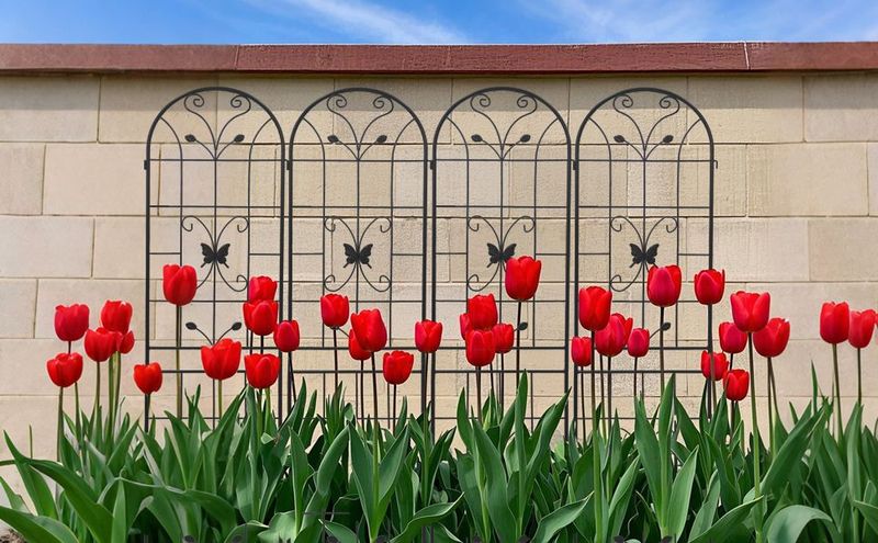 4 Pack Metal Garden Trellis 86.7" X 19.7" Rustproof Trellis For Climbing Plants Outdoor Flower Support_voghion.com