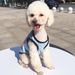 New Pet Clothes Dog Apparel Round Neck Piping Cotton Printed Vest Long-term BX0017_voghion.com