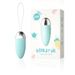 Gladiator Jumping Egg Wireless Remote Control 10-frequency Vibration Wearing Vibrator Female Masturbator Adult Fun_voghion.com