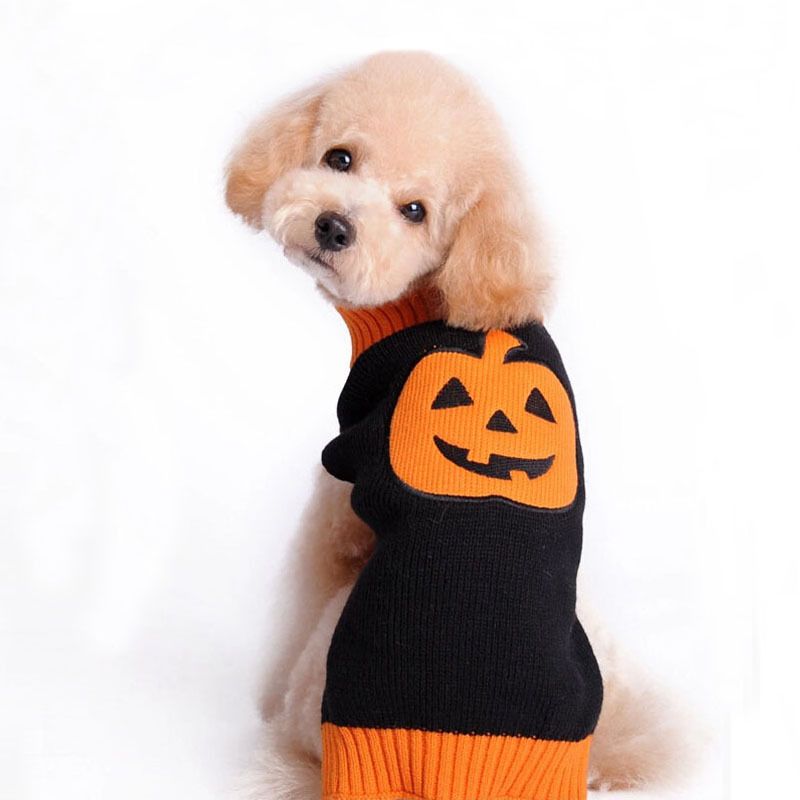 Nieuwe pompoenkleding Halloween Duivel Huisdier Teddy Hond Gebreide Trui Herfst Winterkleding_voghion.com