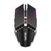 Digitex Digitex BAJEAL Gaming G7 Luminous E-Sports Large USB 7D Fire Button Laptop Wired Mouse_voghion.com