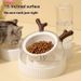 Big Cat Dog Bowl, Anti Knock Automatic Water Dispenser Combination, Non Black Chin, Pet Bowl Supplies_voghion.com