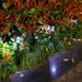 Solar LED Lawn Lights Outdoor Waterproof Garden Landscape Lighting Decorative Pathway Lights, Multi-Sided Black With Colorful Lights_voghion.com