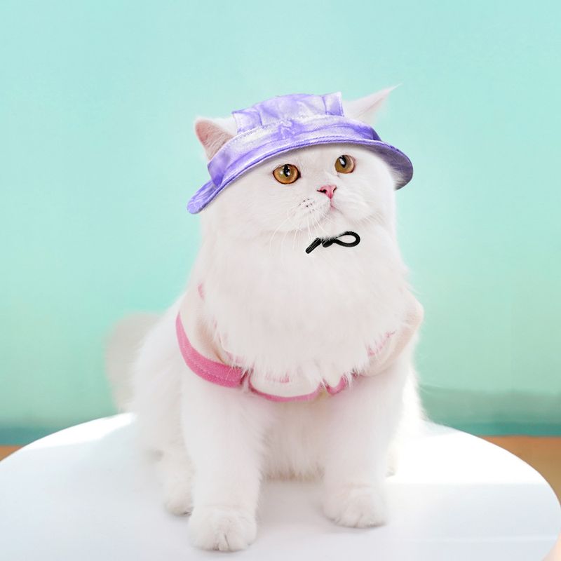 Animal de companie câine pisică mini cowboy parasolar iarbă pescar pălărie cască acoperire în aer liber consumabile_voghion.com