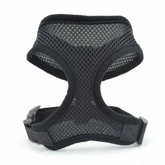 KAJIPET-Geschirr für kleine Hunderassen von PawParty Store_voghion.com