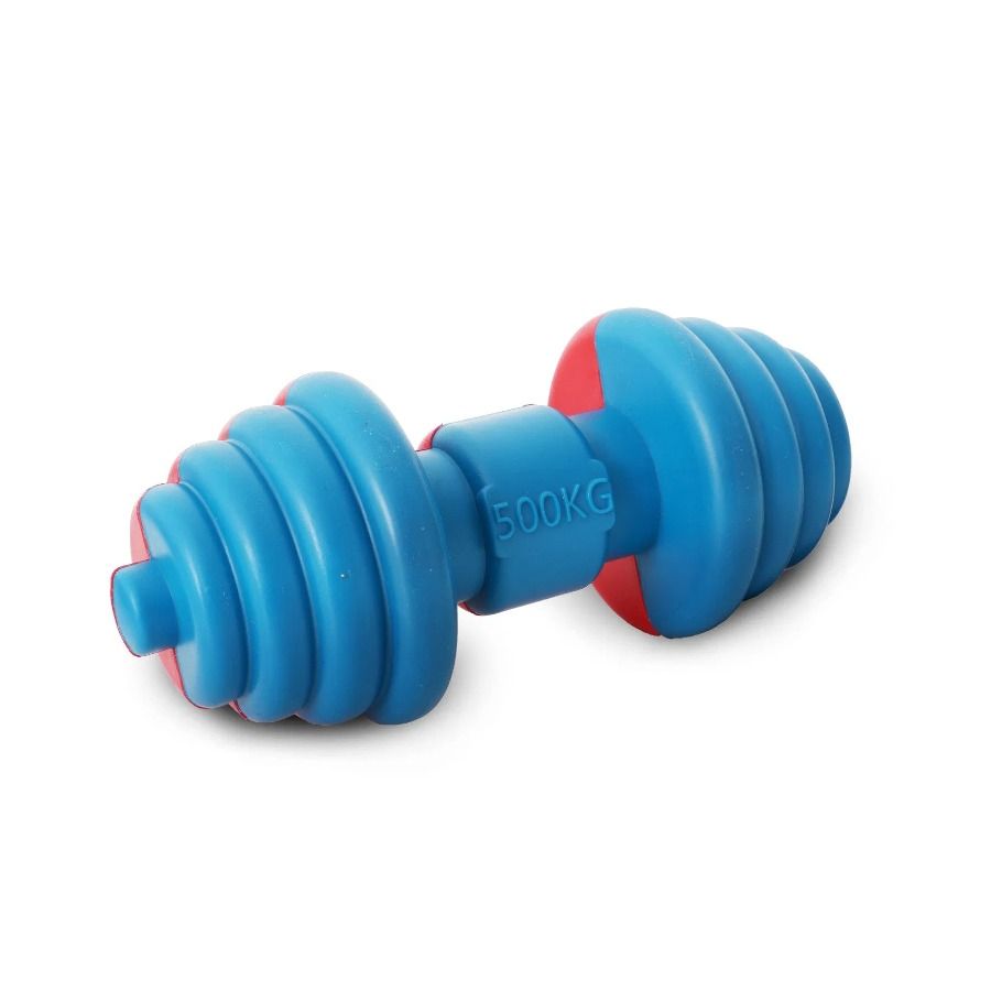 Chew Durable Floating Iron-Wag Water Toy Life Fetch Pet Dog And_voghion.com