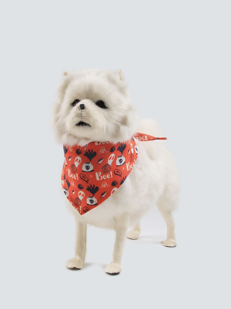 Halloween pet clothes plus fluffy fall/winter dog clothes Pumpkin Ghost spooky Halloween party cat clothes_voghion.com