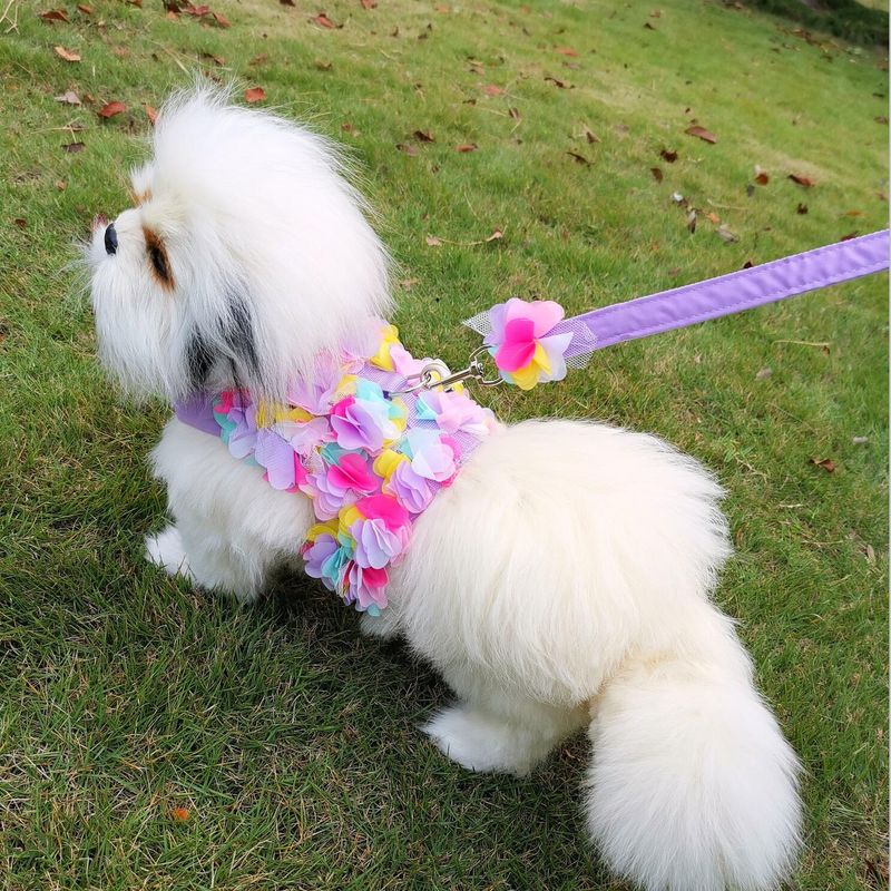 Adorável peitoral para animais de estimação com guia combinando para cães e gatos pequenos, colete de renda floral para gatos_voghion.com