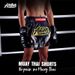 2025 New Multi-Color Muay Thai Boxing Competition Training Sanda Clothing Wholesale Shorts European Size Multiple Styles_voghion.com