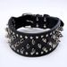 Anti-Bite Rivet Three-Piece Collar Set Super Cool Bullet Head Harness Pet Leash_voghion.com