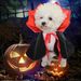 Halloween Cape Hat Set Dog Costume Christmas Dress Up Pet Clothes_voghion.com