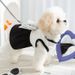 Frühlings- und Sommermode, Duftstil, schwarz-weiße Schleifenkleidung, Teddybär, kleiner Hund, Haustier-Hundekleidung_voghion.com