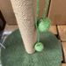 Sisal Post Climbi Frame Claw Grinder Scratchi Board Hair Rubbi Itch Relief Coconut Tree Cat Toy Durable_voghion.com