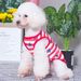 Dog New Vest Summer Thin Teddy Bichon Cat Pet Clothes Long-lasting_voghion.com